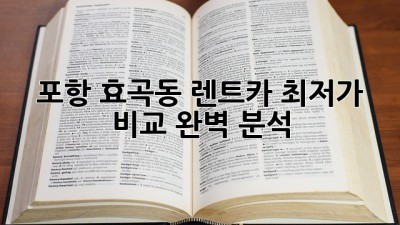 포항 효곡동 렌트카 최저가 비교 완벽 분석!