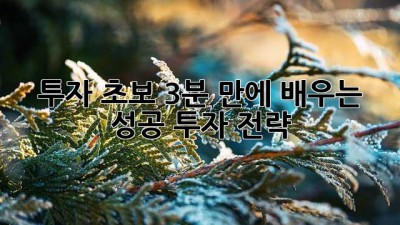 투자 초보, 3분 만에 배우는 성공 투자 전략
